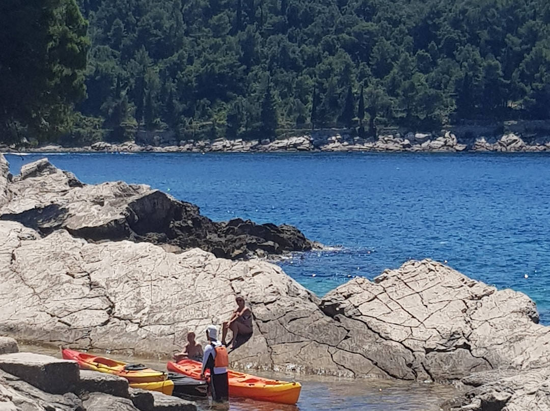 Sea Kayaking Cavtat景点图片