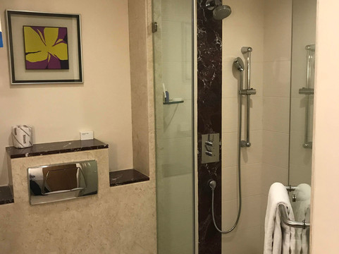 印多尔丽笙酒店主图