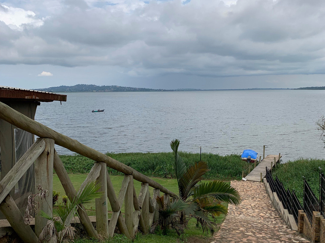 Buvi Lodge Limited主图