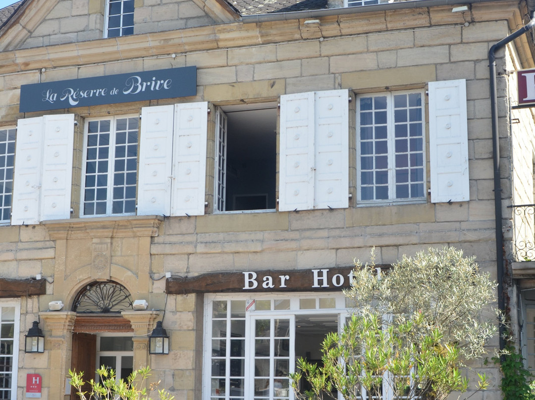 Hôtel La Réserve de Brive主图