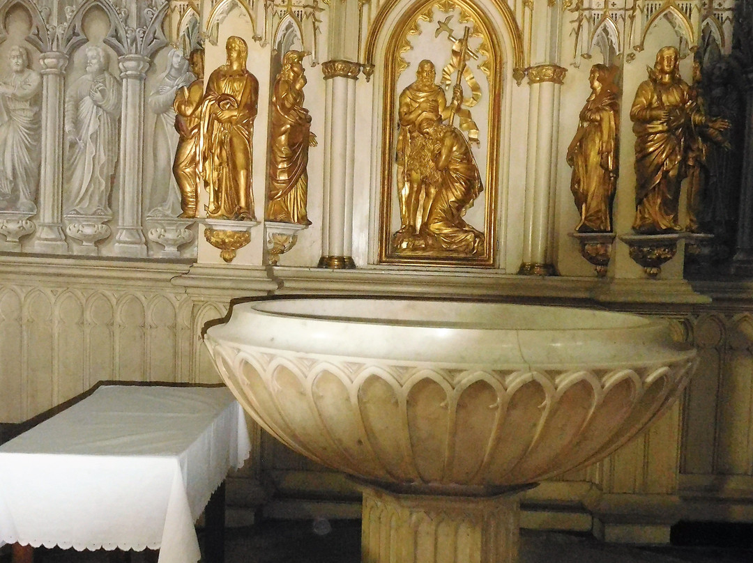 Cathédrale Saint-Francois-De-Sales景点图片