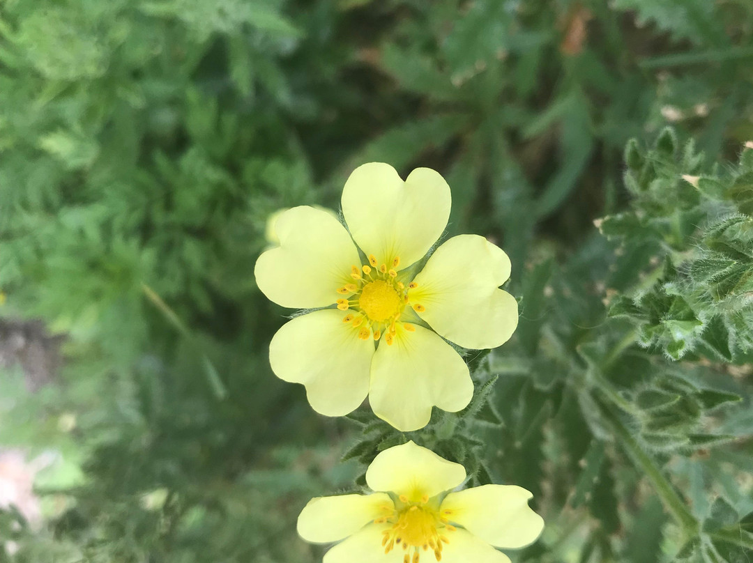 Red Rocks Park-南伯灵顿必去景点