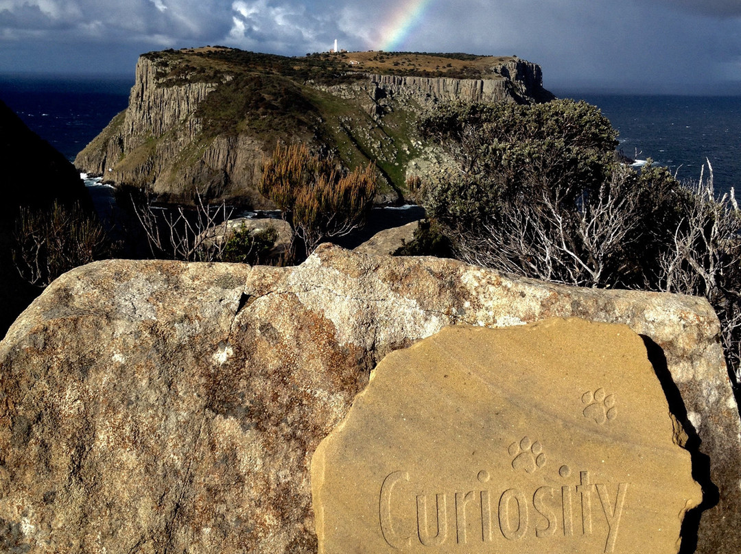 Three Capes Track-亚瑟港必去景点