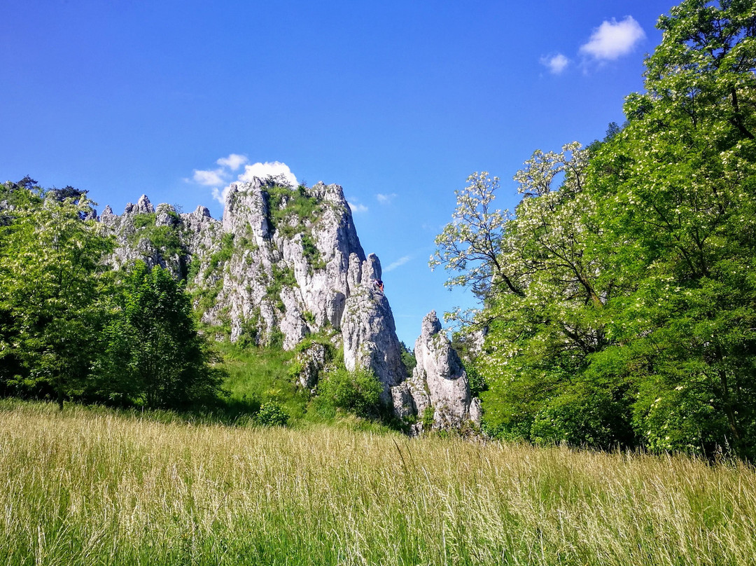 Bolechowicka Valley景点图片