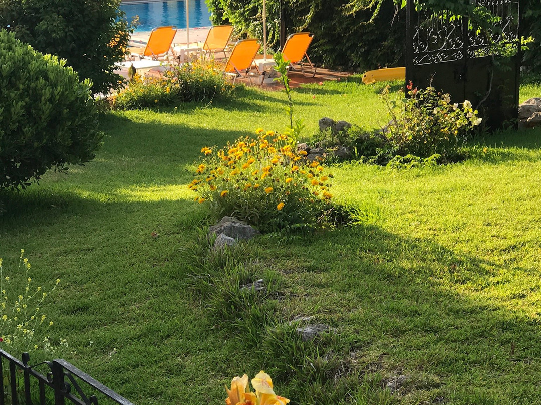 Tara Beach Hotel主图