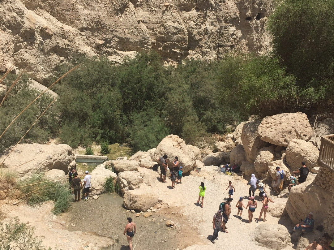 Nachal Arugot Nature Reserve-Masada必去景点