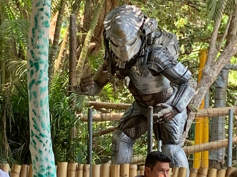 Canopy Tour El Eden-瓦拉塔港必去景点