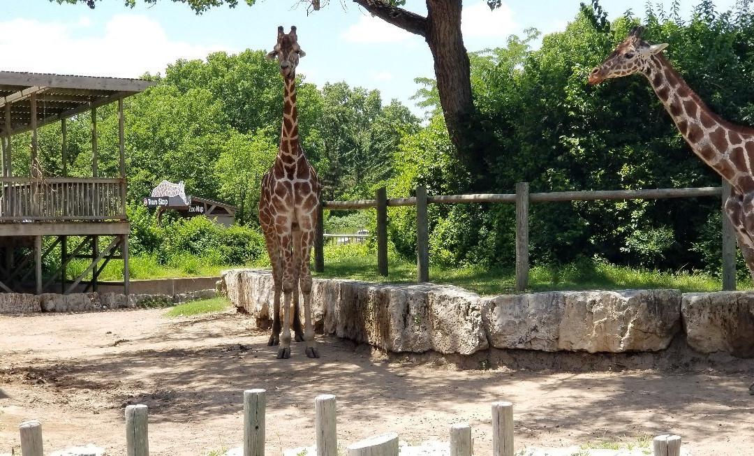 Sedgwick County Zoo景点图片