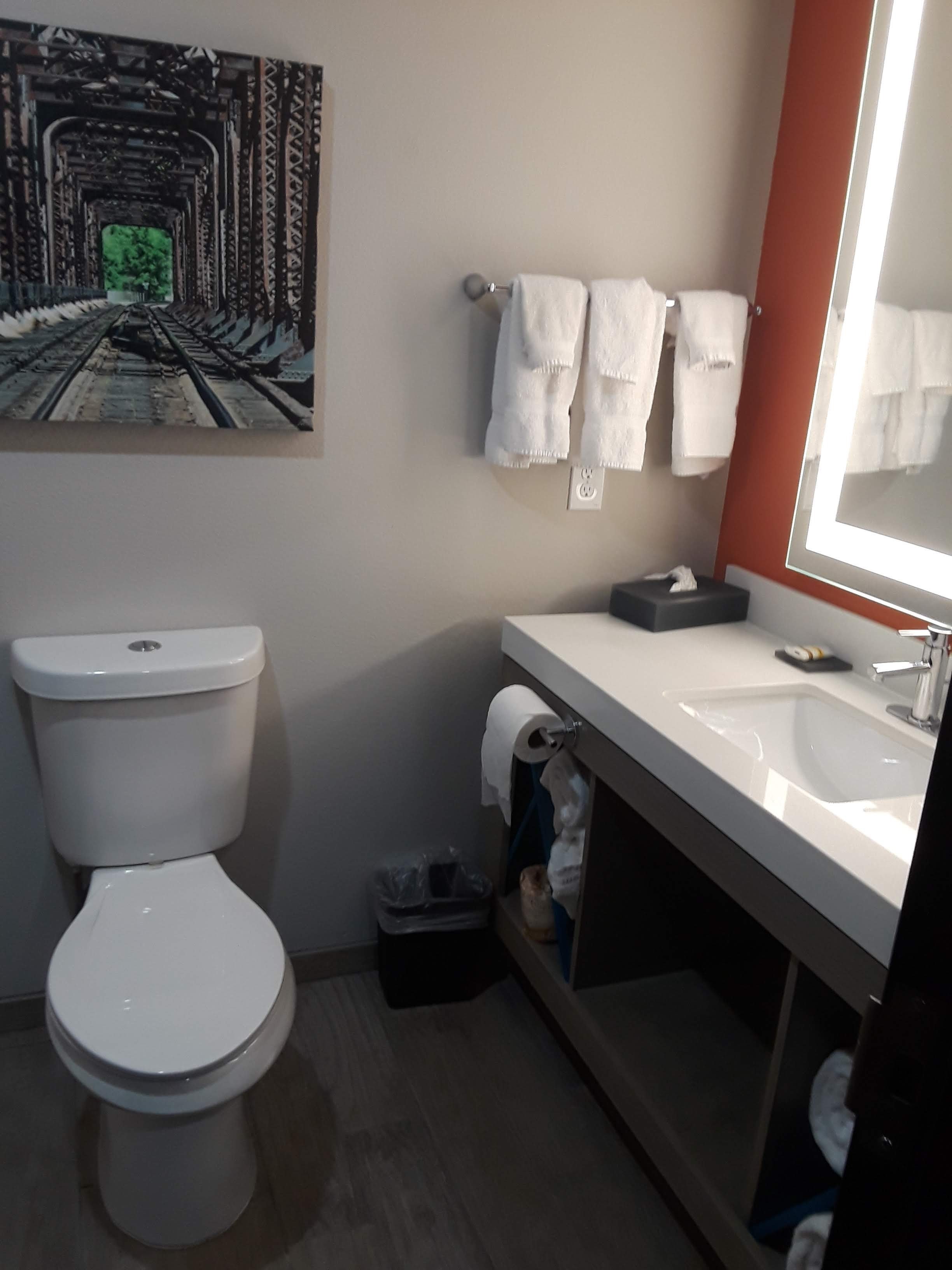 La Quinta Inn & Suites by Wyndham Pittsburg-浴室