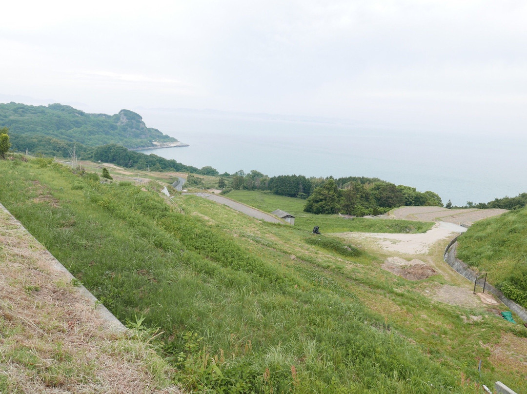 Teshima Terraced Rice Field Project景点图片