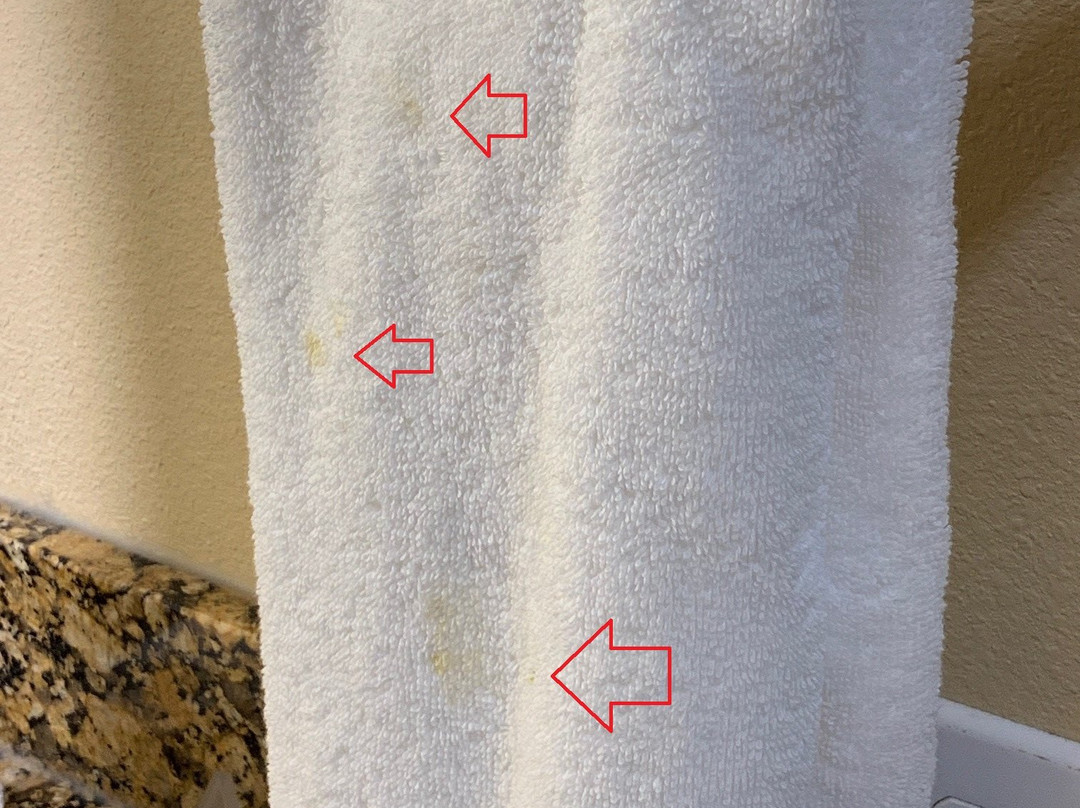 阿尔布开克机场希尔顿惠庭套房酒店主图