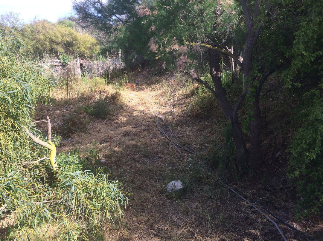 突尼斯摄政酒店主图