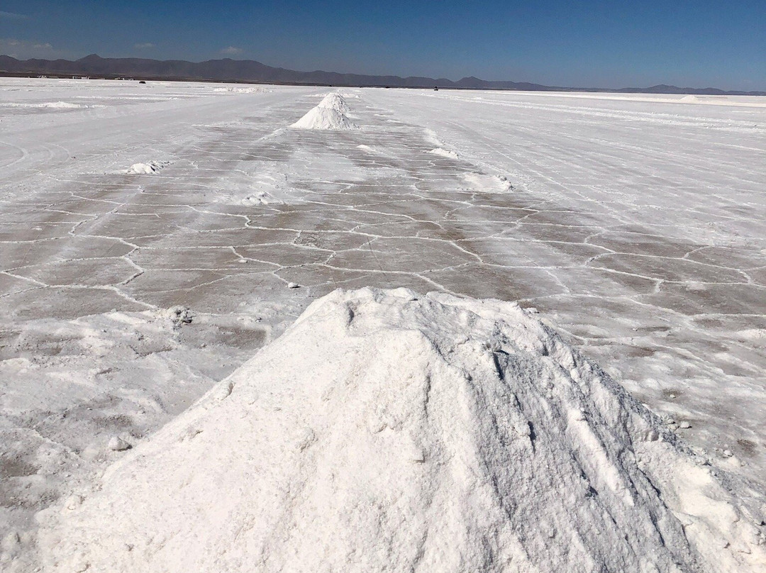 Salt Flats Uyuni Expedition -Day Tour景点图片
