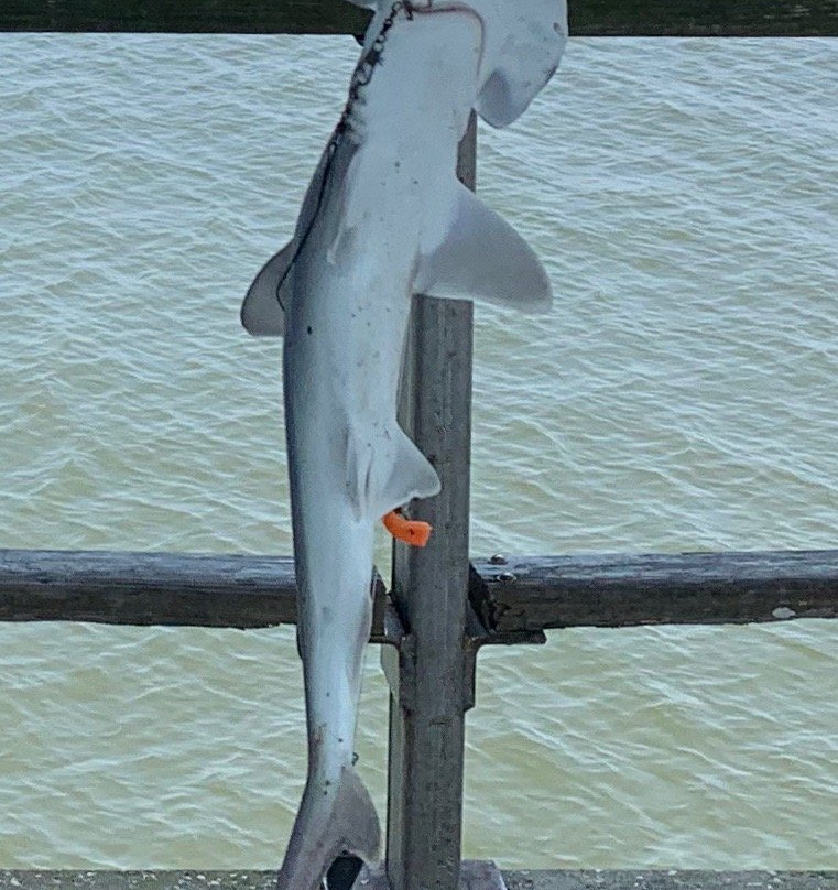 Clam Creek Picnic Area-吉柯岛必去景点