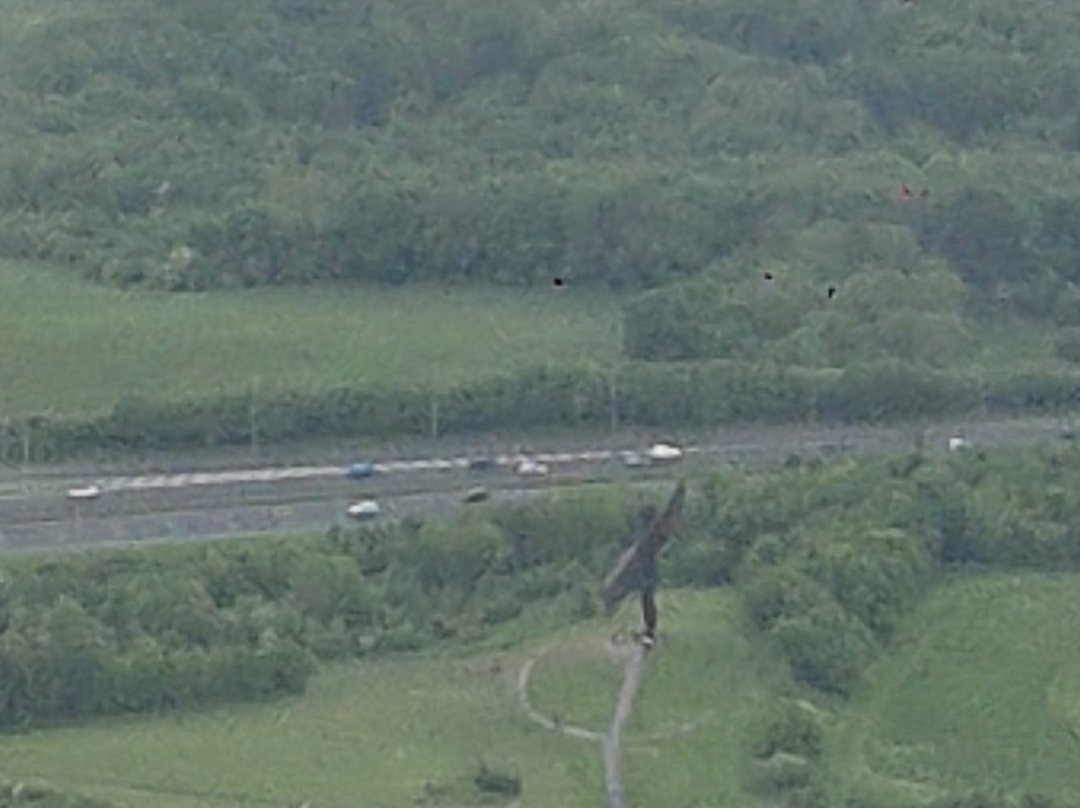 Northumbria Helicopters景点图片