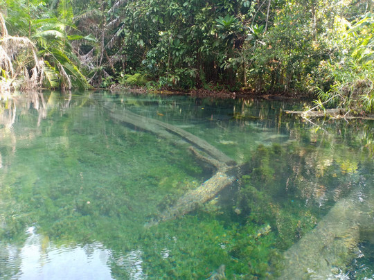 Thrilling Thai Tours-普吉镇必去景点