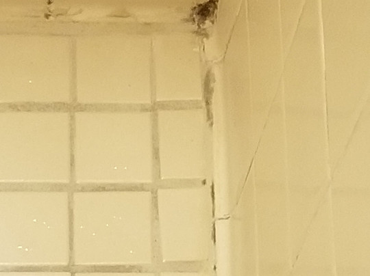 Hollywood Casino Tunica Hotel主图