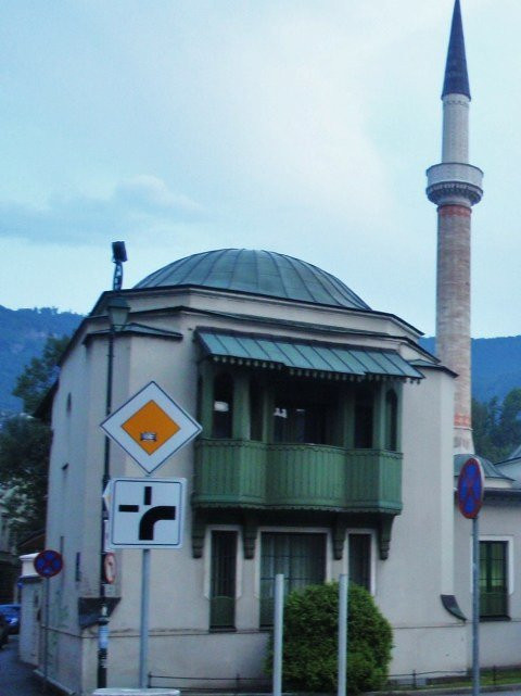 Emperor's Mosque景点图片