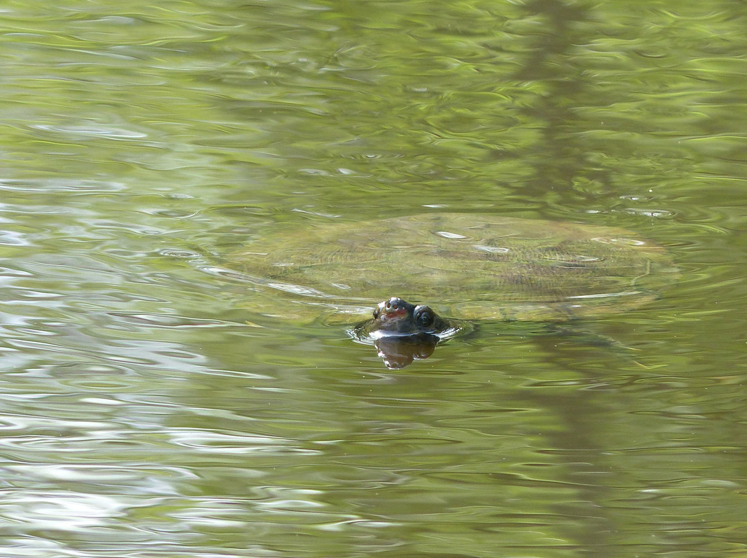 Wesselman Woods Nature Center-埃文斯维尔必去景点