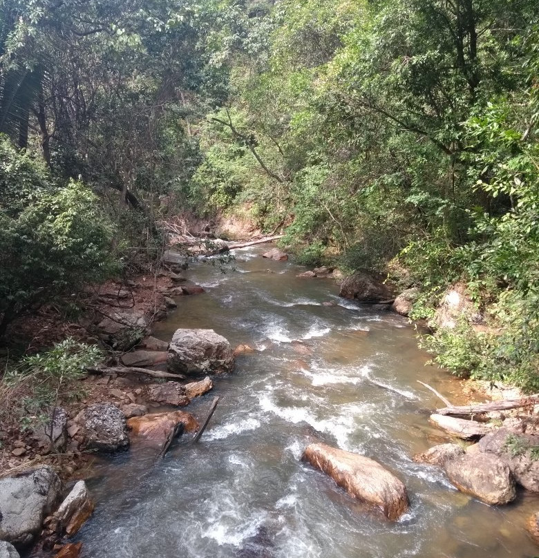 Parque Municipal do Itiquira-Formosa必去景点