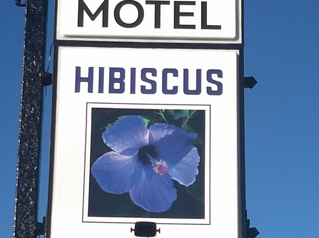 Motel Hibiscus主图