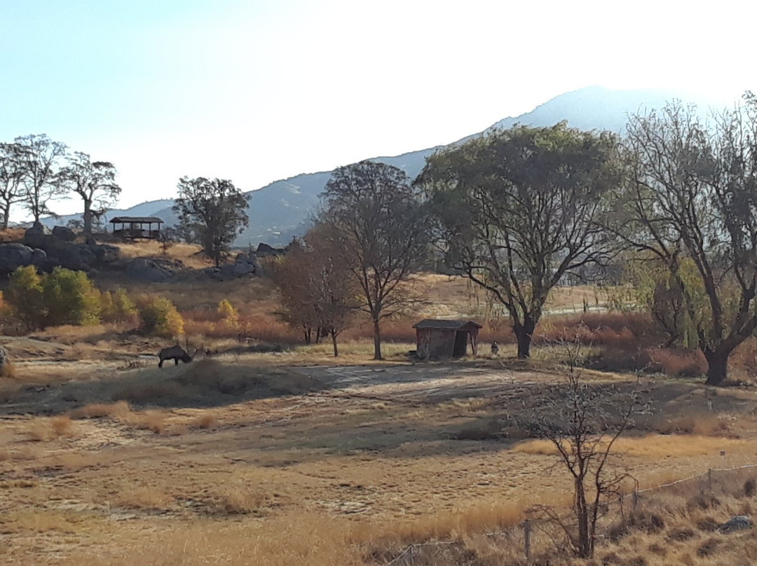 Stallion Springs Resort主图