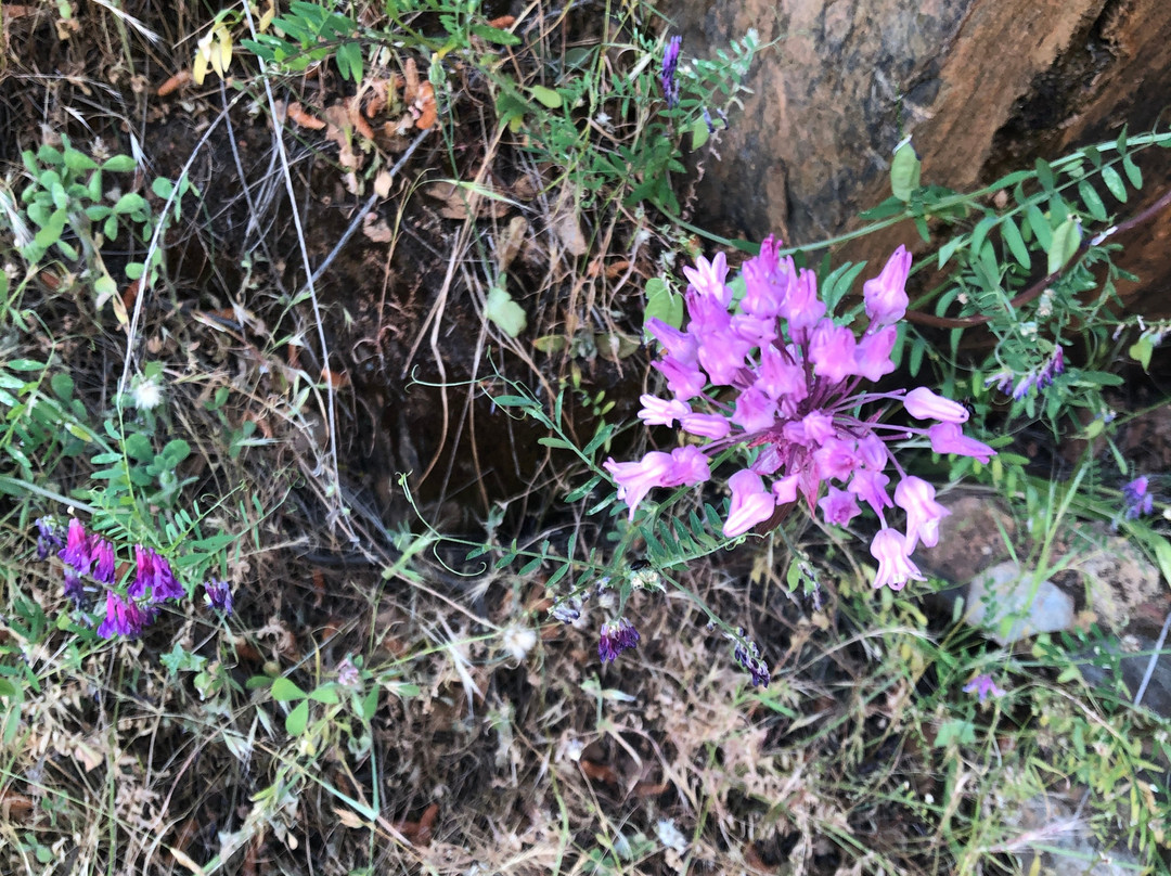 Merced River Trail-Briceburg必去景点