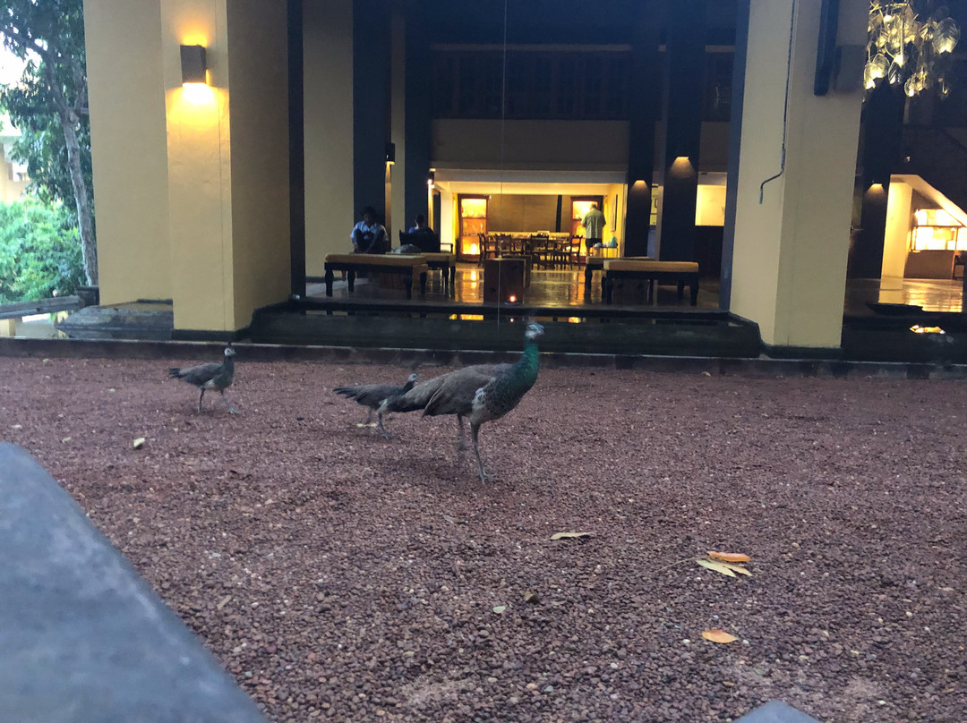 Barberyn Beach Ayurveda Resort主图