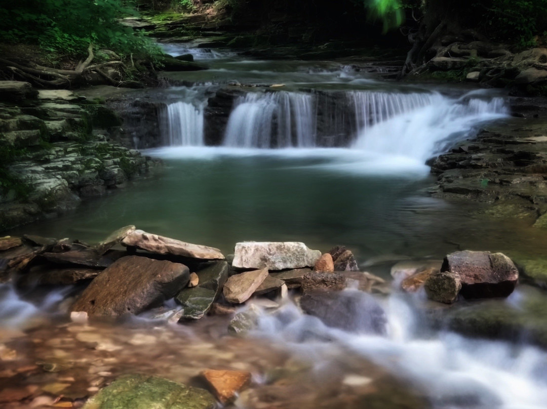 Saunders Springs Nature Preserve-Radcliff必去景点