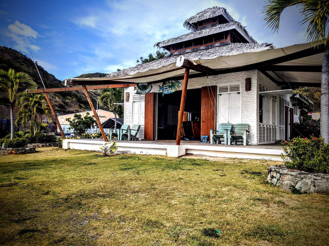 Scuba Montserrat-Little Bay必去景点