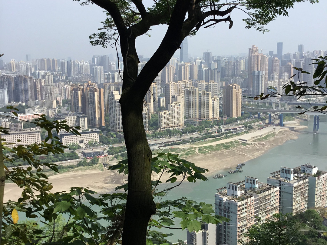 鹅岭公园景点图片