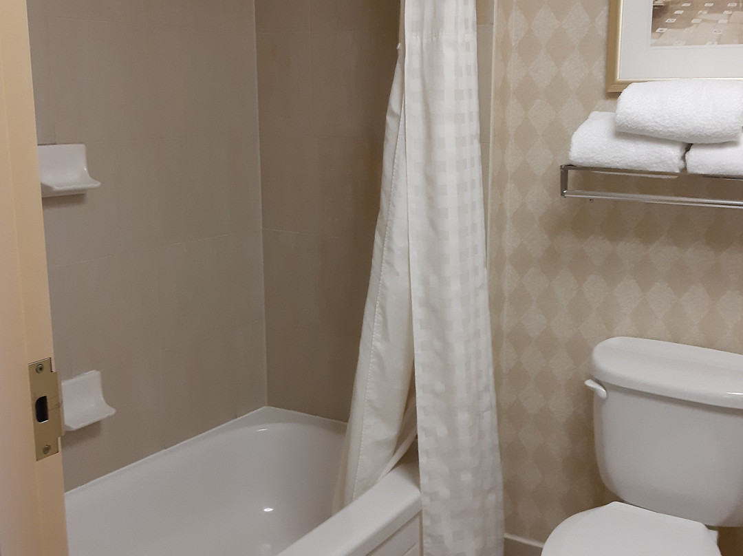 多伦多密西沙加希尔顿惠庭套房酒店主图