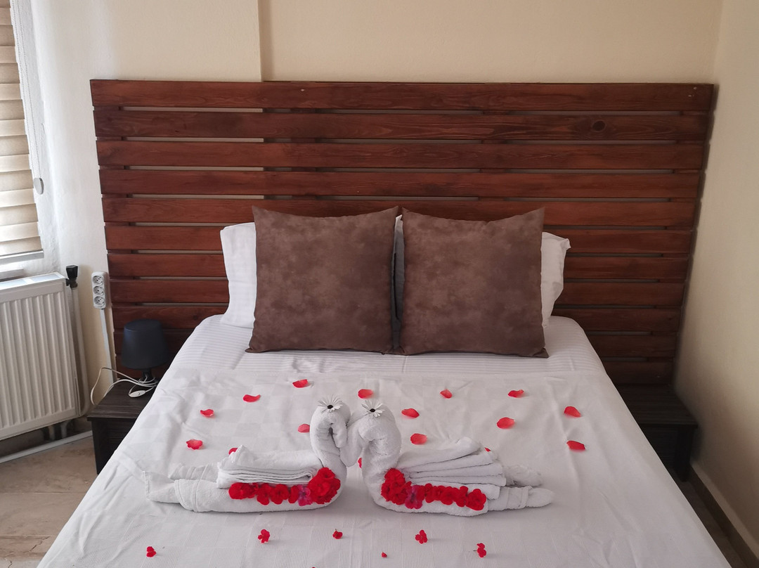 Ilkim Apart Otel主图