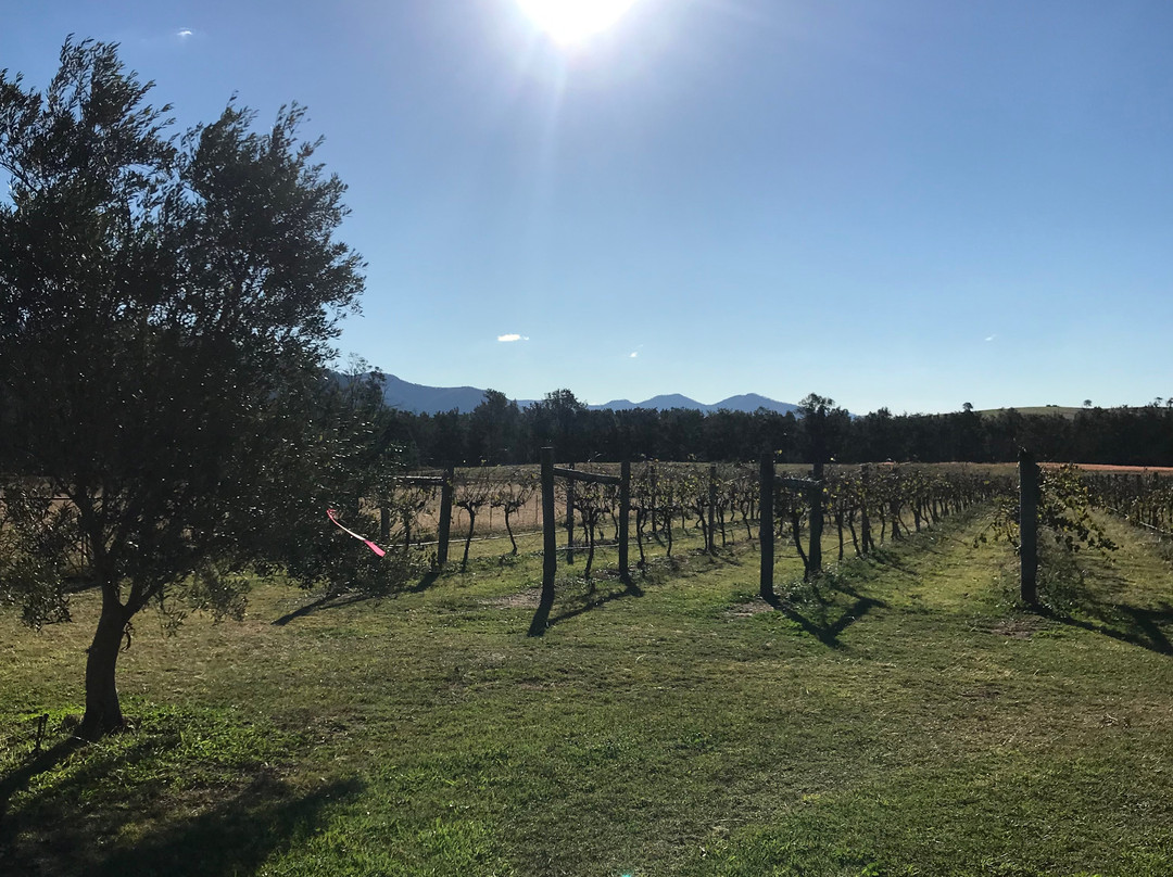 Whispering Brook Cellar Door, Winery, Guesthouse-Broke必去景点