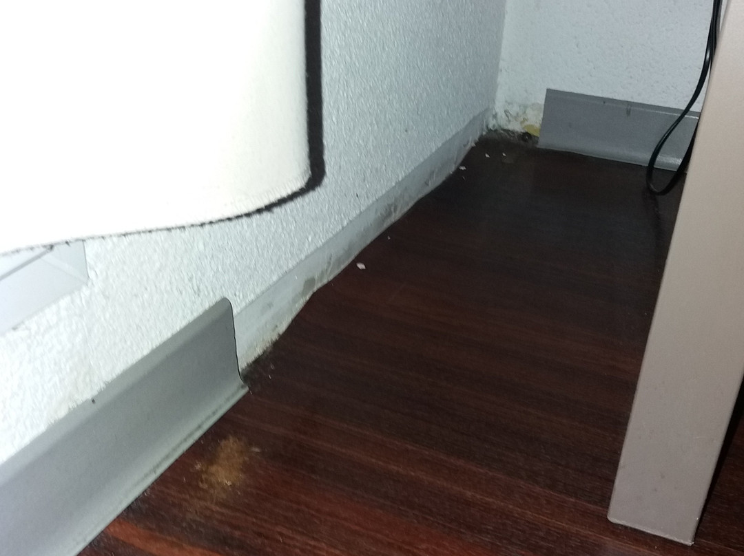 特内奥公寓酒店主图