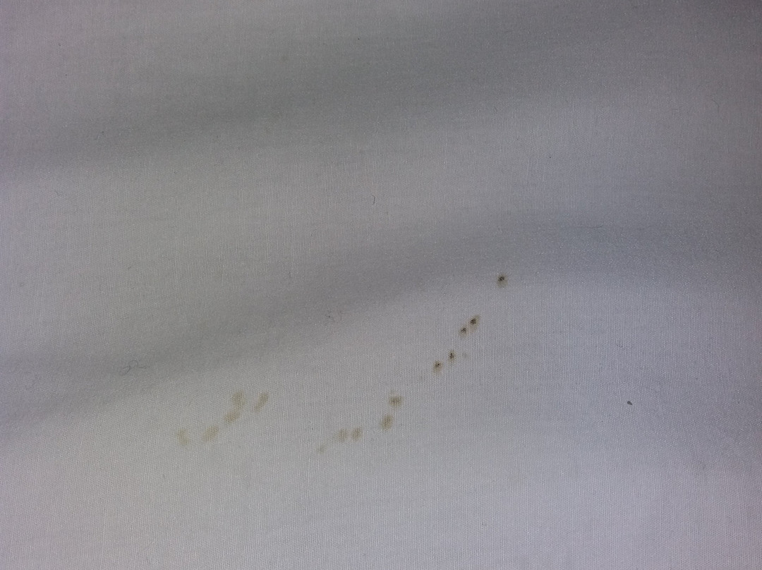 特内奥公寓酒店主图