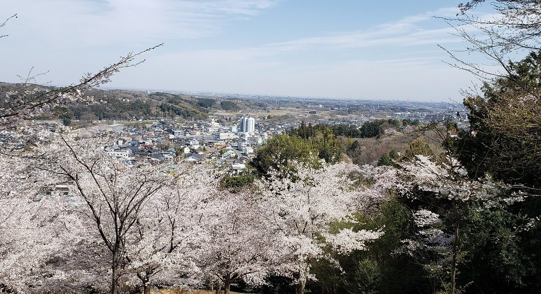 Sakuranoyama Park-越生町必去景点