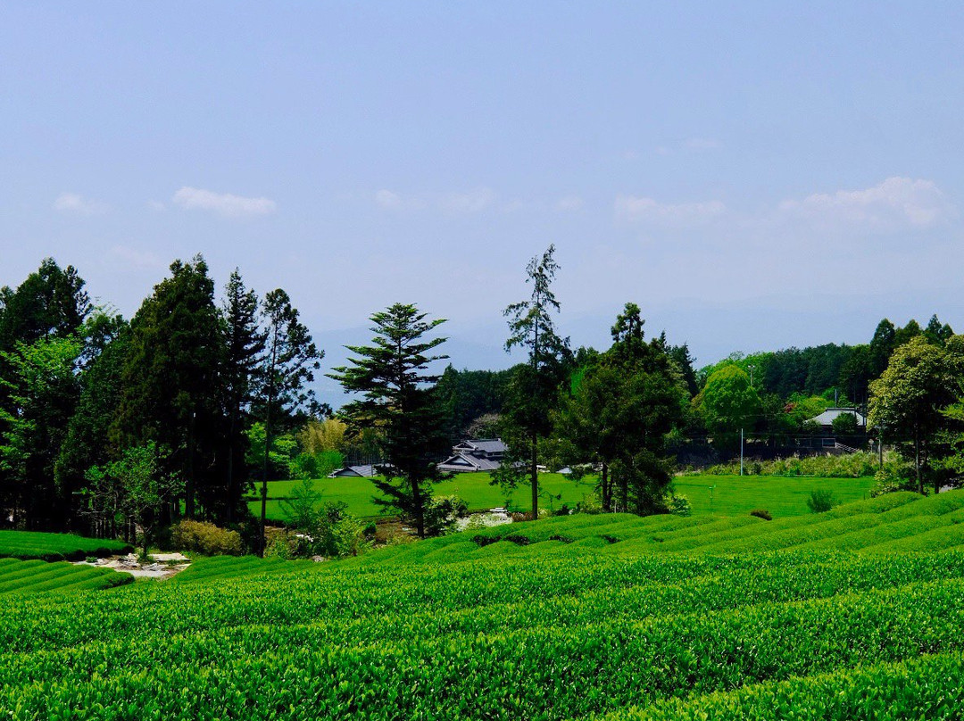 Obuchi Sasaba景点图片