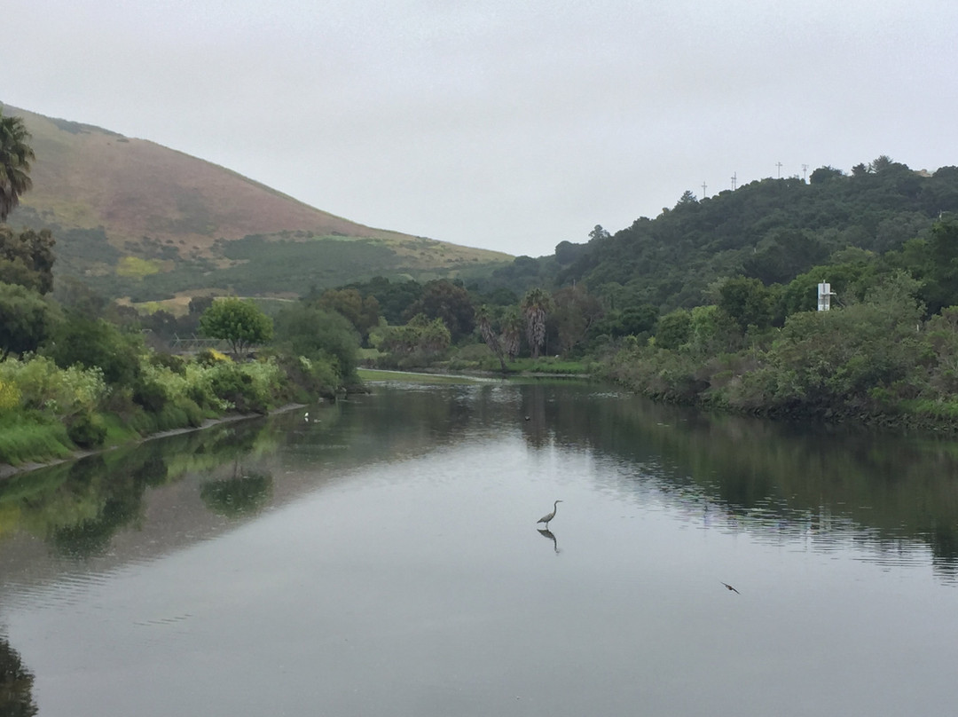 Bob Jones City to Sea Bike Trail-阿维拉海滩必去景点