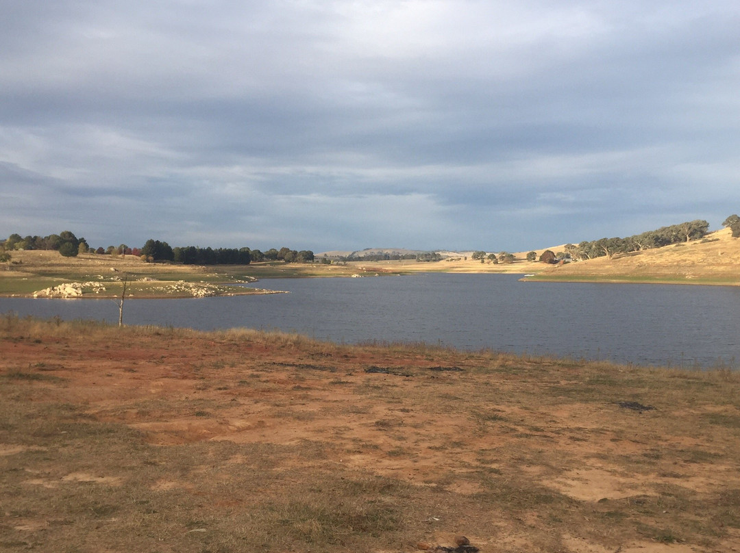 Carcoar Dam景点图片