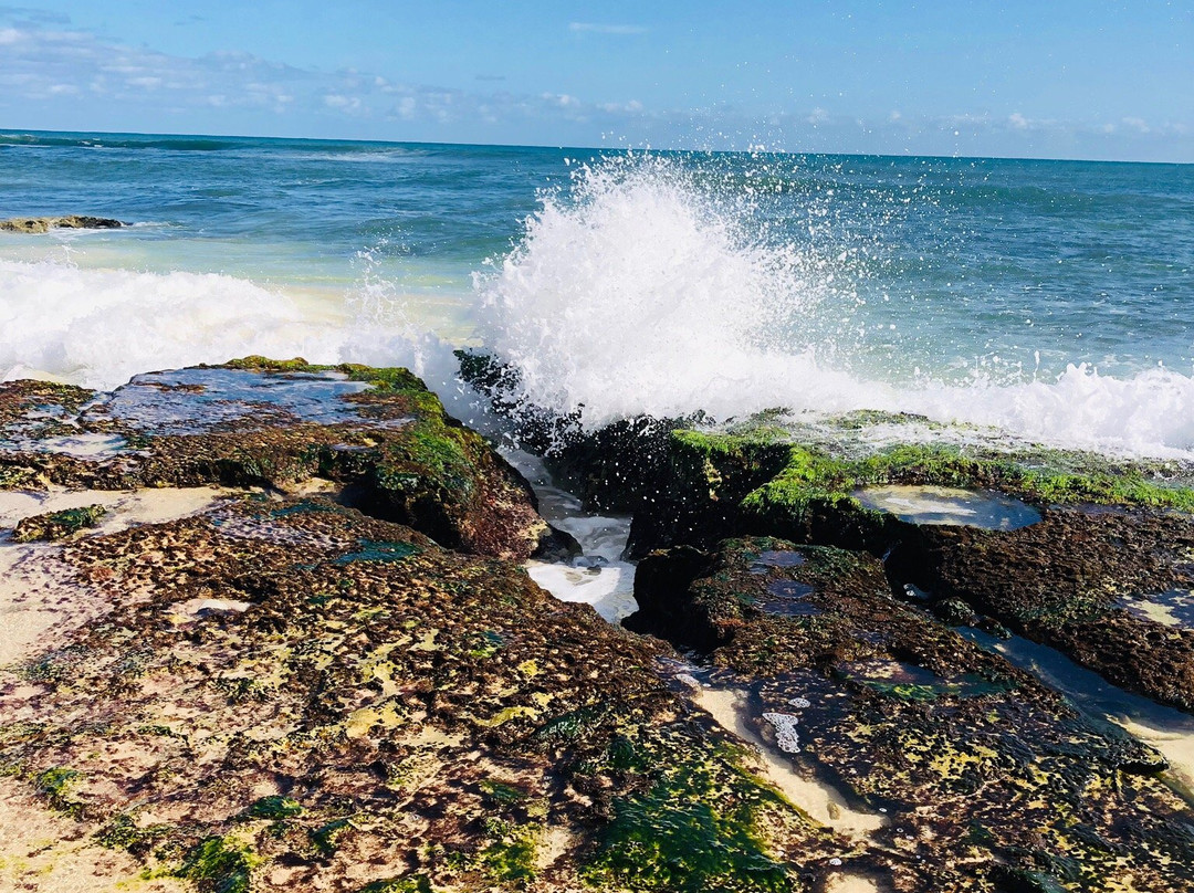 Yanchep Beach Road景点图片