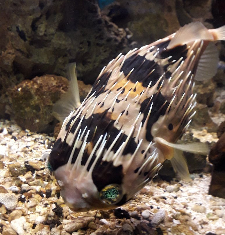 Zoo Acquario di Imola-伊莫拉必去景点
