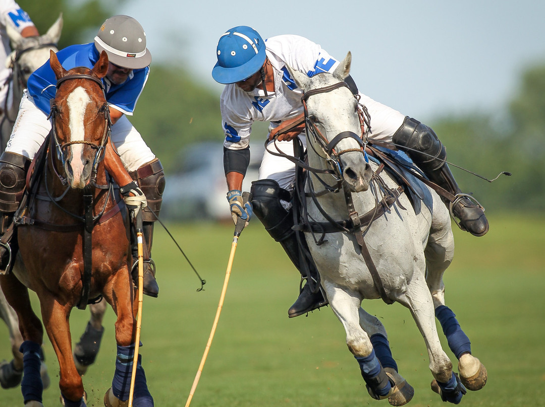 Brandywine Polo Club景点图片