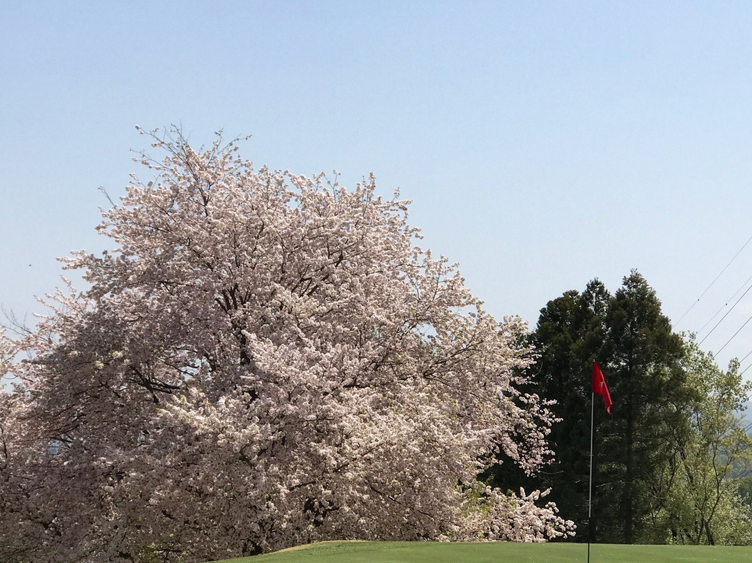 Fujioka Golf Club景点图片