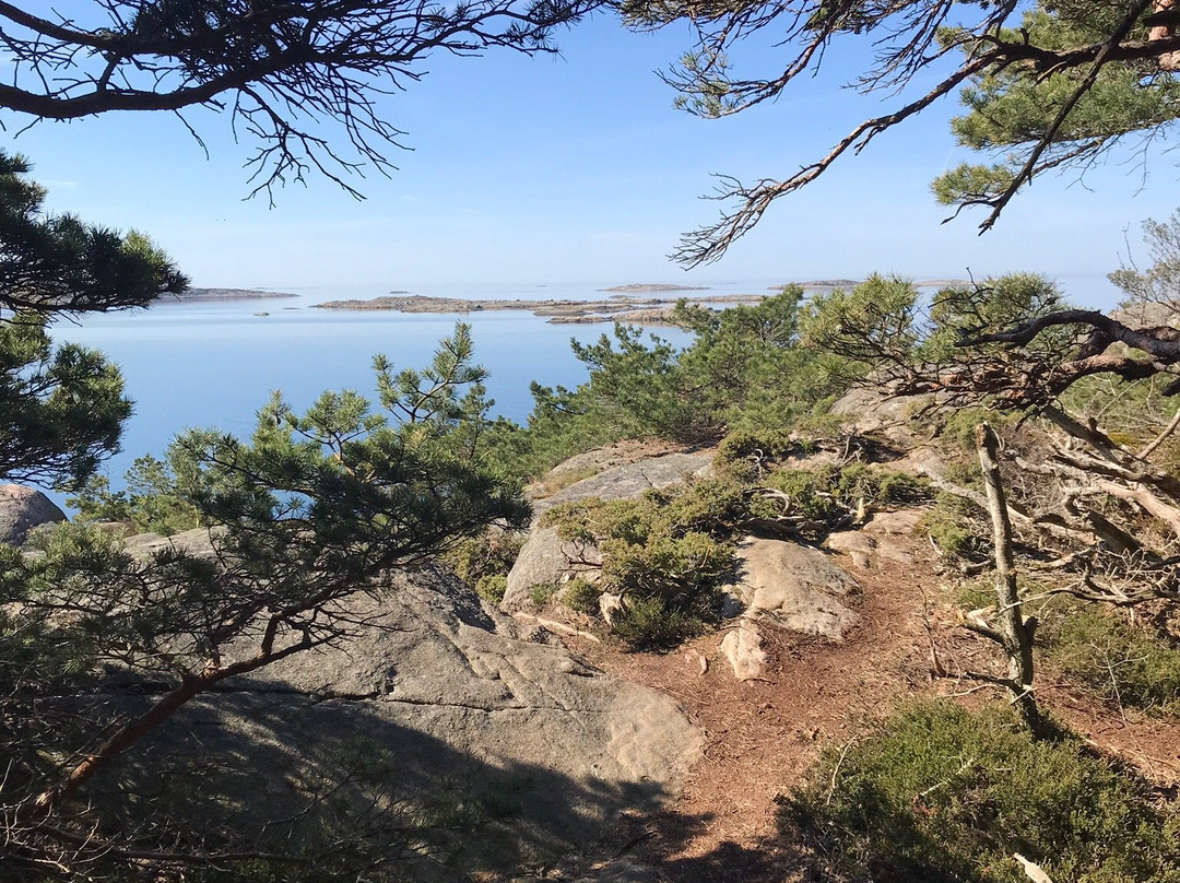 Särö Västerskog Naturreservat景点图片
