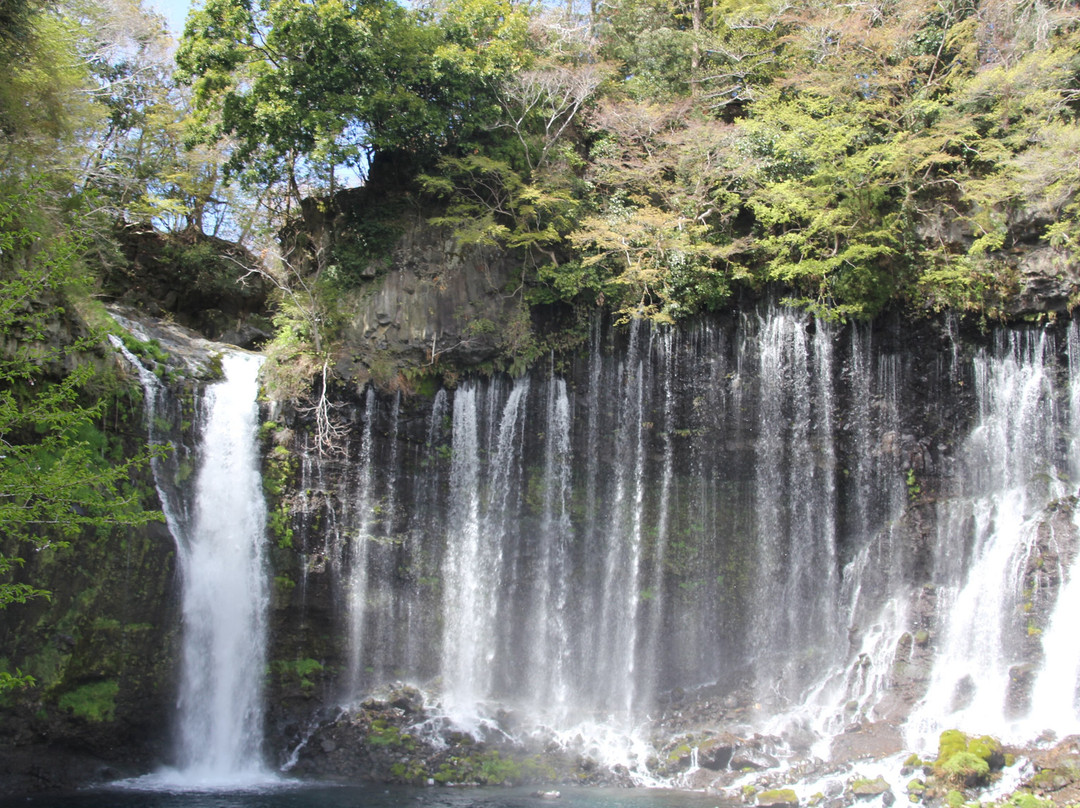 Shiraito Falls (Fujiyoshida)景点图片