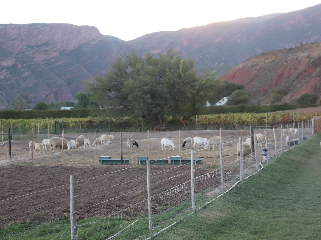 Soeterus Guest Farm主图