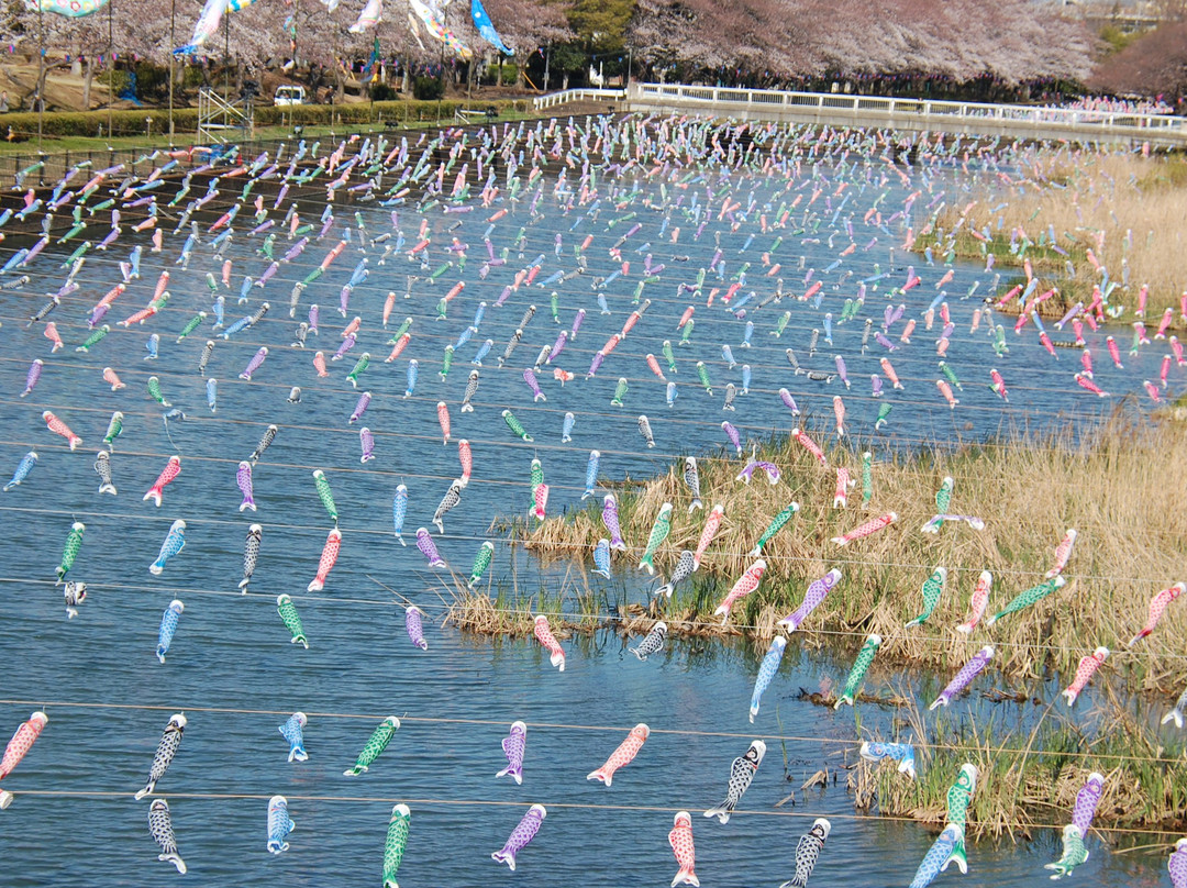 Tsuruuda River景点图片