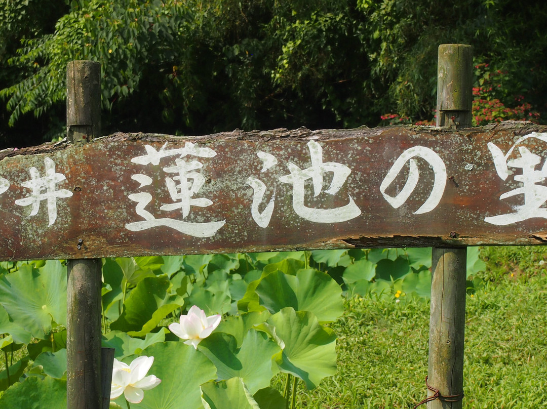 Taio-ji Temple景点图片