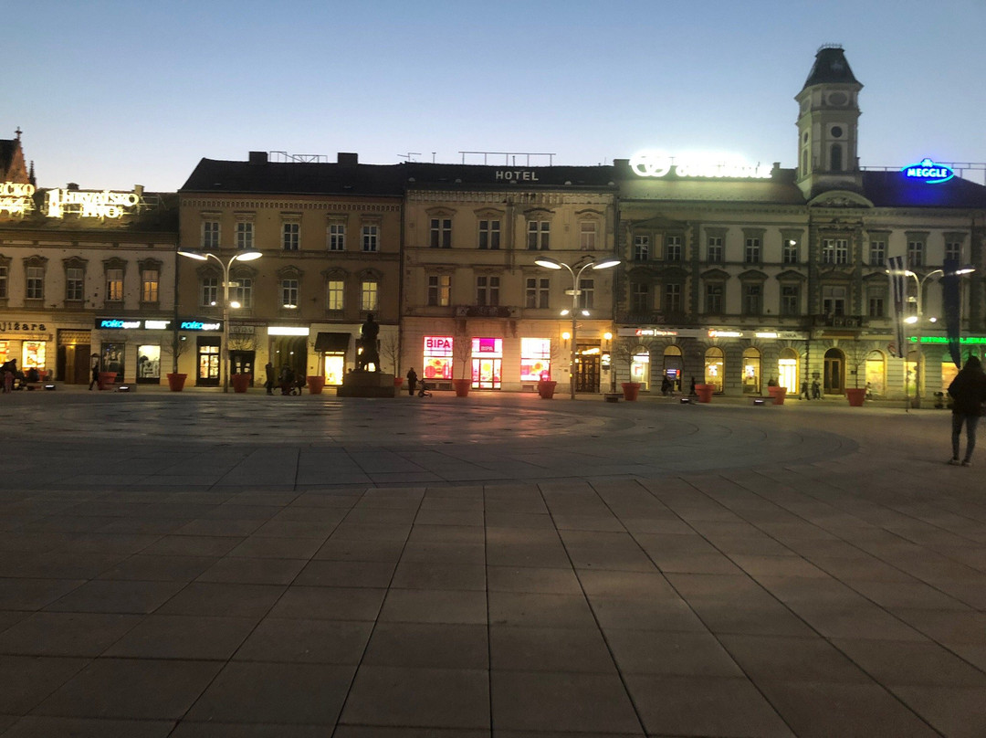 Ante Starčević Square景点图片
